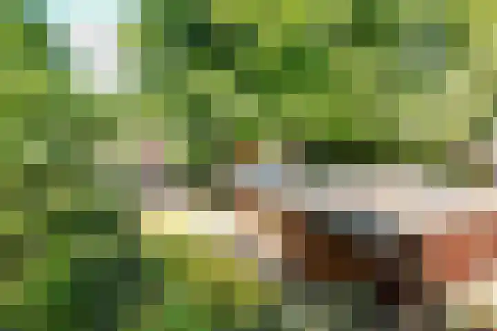 Steenbakkersweg 7 354 Erm thumbnail 36