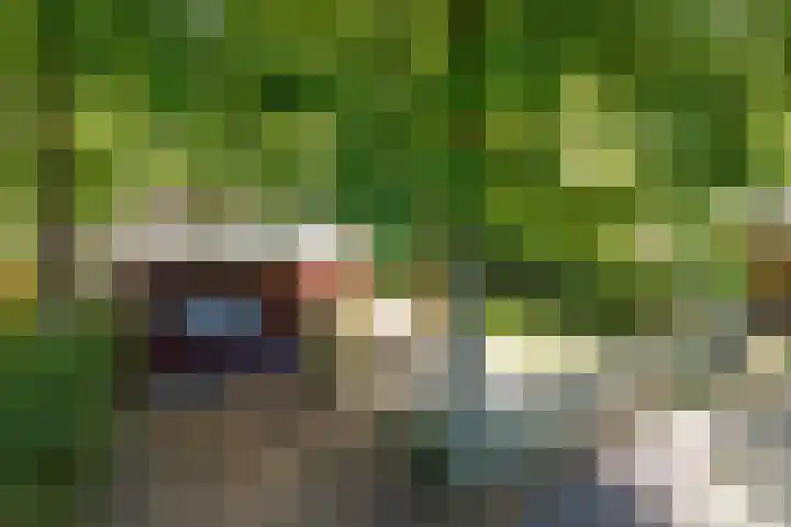Steenbakkersweg 7 354 Erm thumbnail 37
