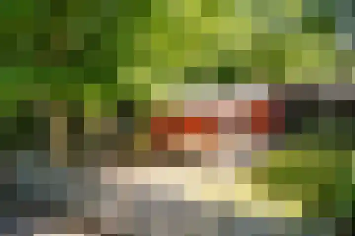 Steenbakkersweg 7 354 Erm thumbnail 4