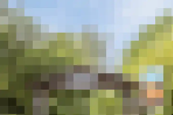 Steenbakkersweg 7 354 Erm thumbnail 6