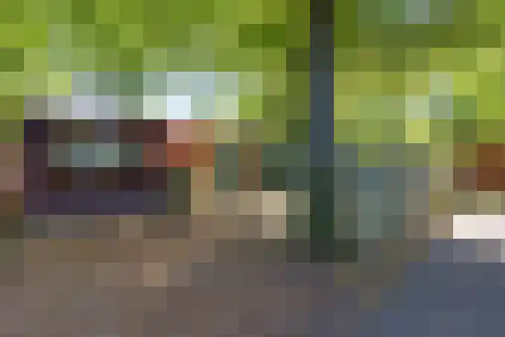 Steenbakkersweg 7 354 Erm thumbnail 7
