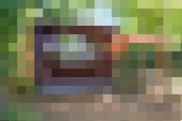 Steenbakkersweg 7 354 Erm thumbnail 8