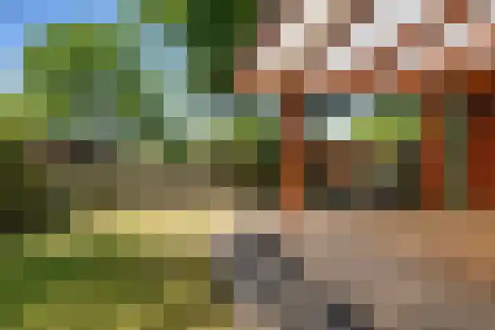 Steenbakkersweg 7 354 Erm thumbnail 9