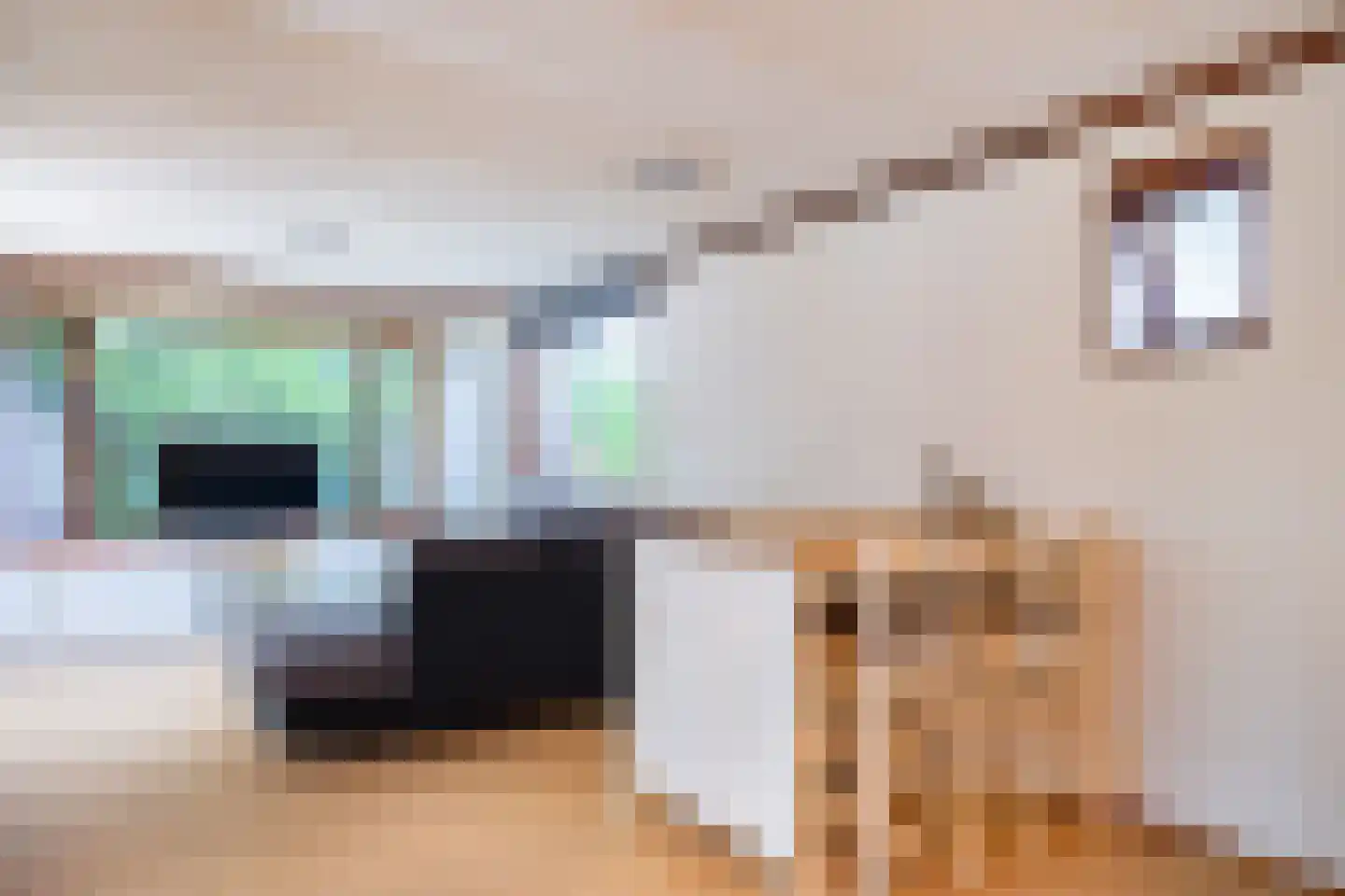 Steenbakkersweg 7 358 Erm thumbnail 28