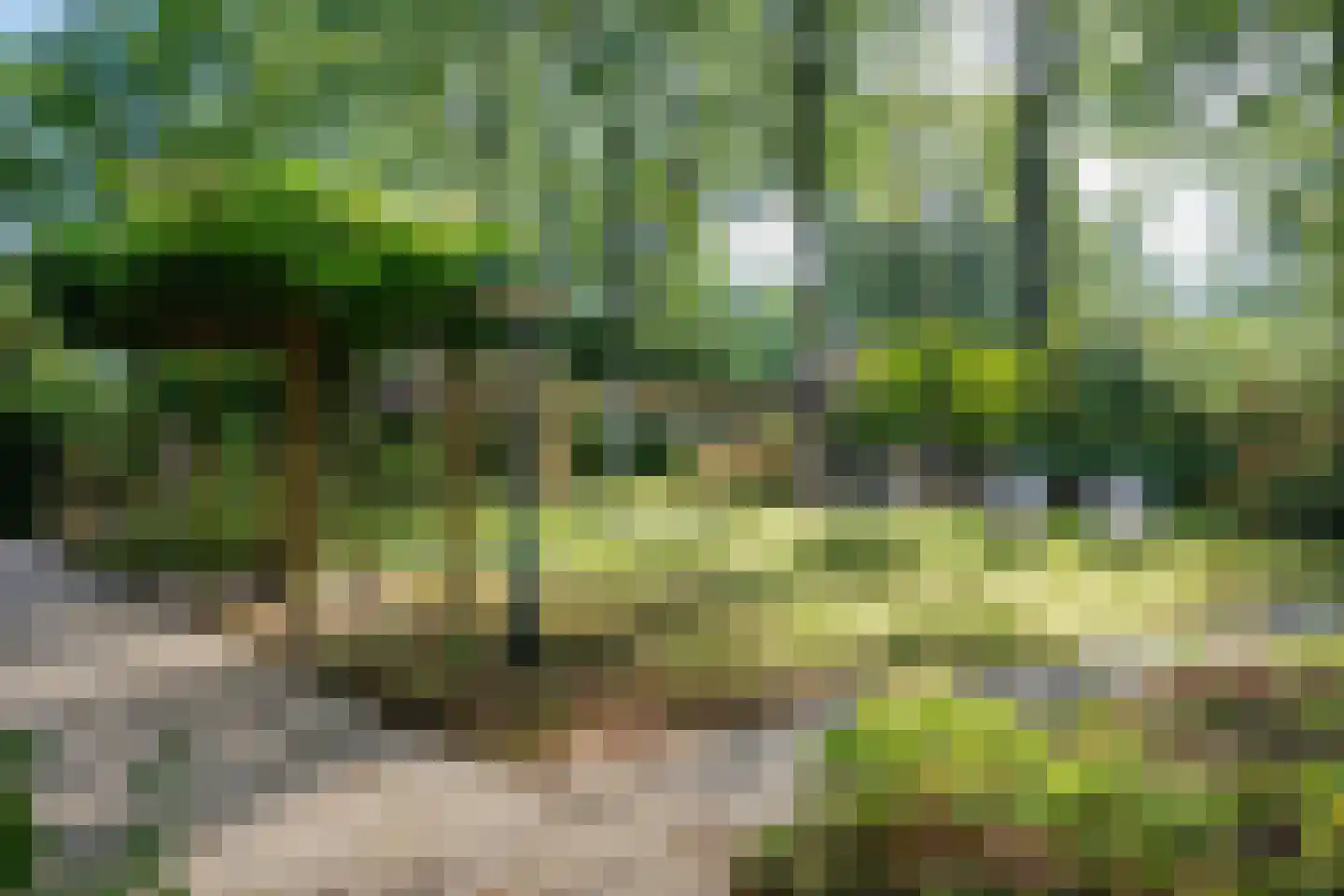 Steenbakkersweg 7 358 Erm thumbnail 5