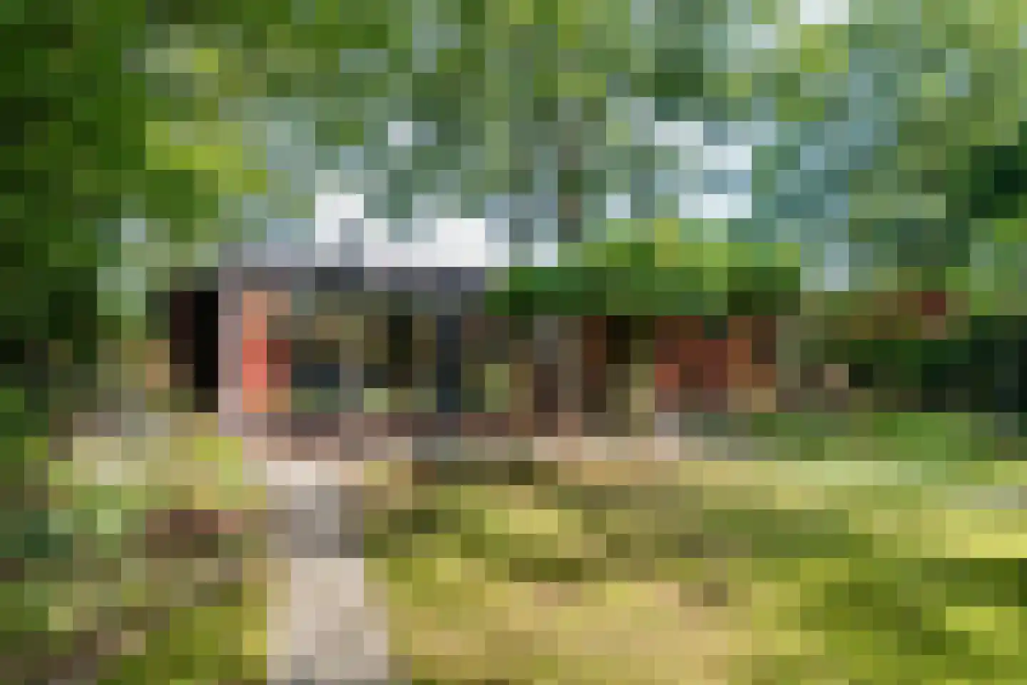 Steenbakkersweg 7 358 Erm thumbnail 7