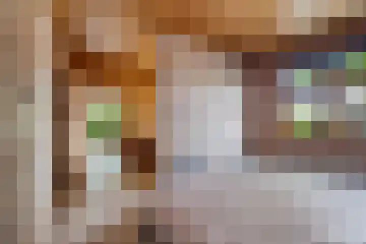 Steenbakkersweg 7 362 Erm thumbnail 13