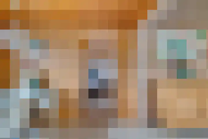 Steenbakkersweg 7 362 Erm thumbnail 14