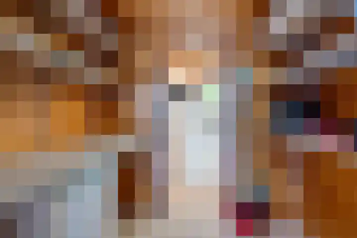 Steenbakkersweg 7 362 Erm thumbnail 21