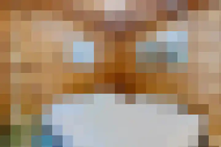 Steenbakkersweg 7 362 Erm thumbnail 25