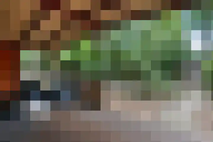 Steenbakkersweg 7 362 Erm thumbnail 31
