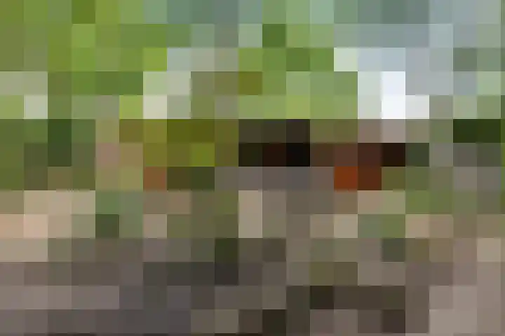 Steenbakkersweg 7 362 Erm thumbnail 33