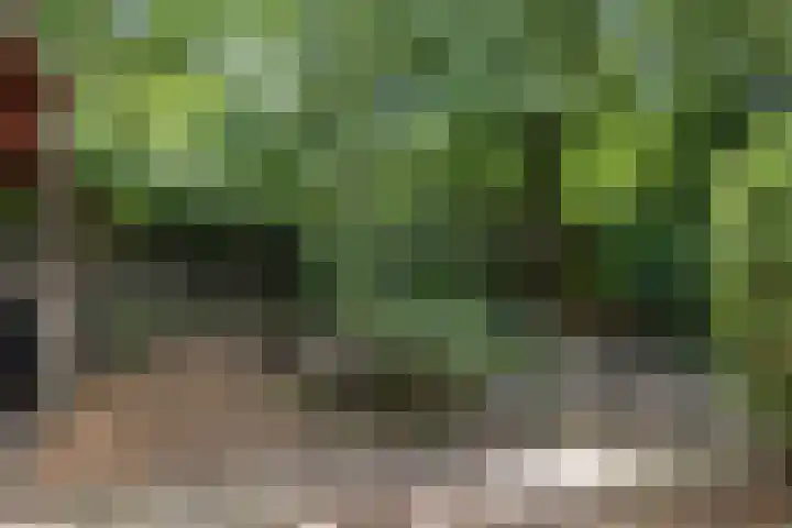 Steenbakkersweg 7 362 Erm thumbnail 34