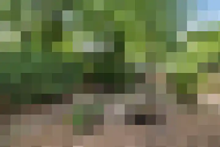 Steenbakkersweg 7 362 Erm thumbnail 35