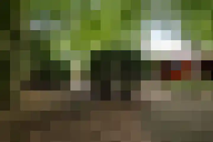 Steenbakkersweg 7 362 Erm thumbnail 36