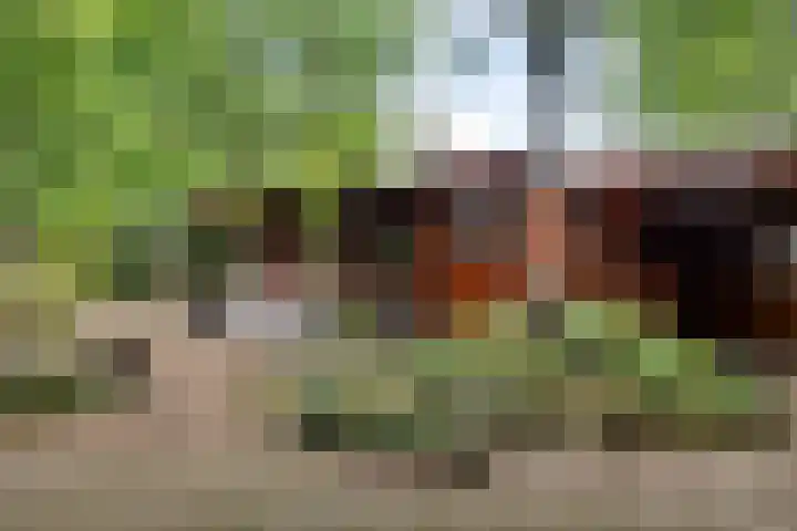 Steenbakkersweg 7 362 Erm thumbnail 37