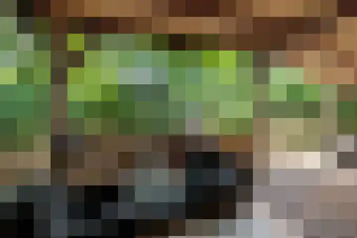 Steenbakkersweg 7 362 Erm thumbnail 4