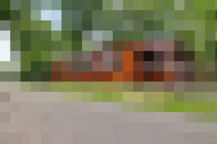 Steenbakkersweg 7 362 Erm thumbnail 43