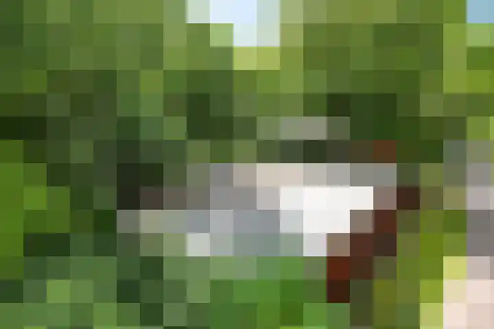 Steenbakkersweg 7 362 Erm thumbnail 45