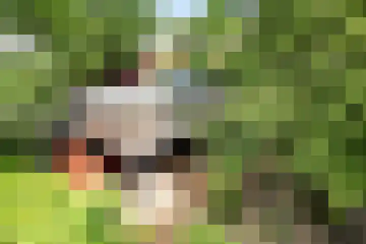 Steenbakkersweg 7 362 Erm thumbnail 46