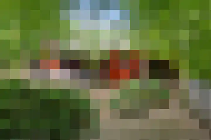 Steenbakkersweg 7 362 Erm thumbnail 47