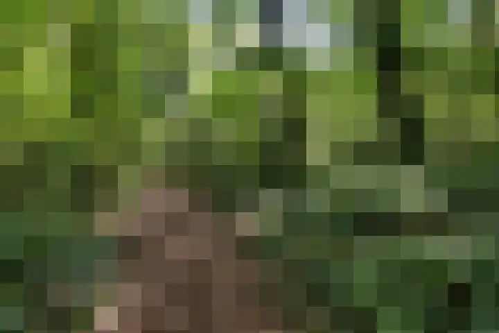 Steenbakkersweg 7 362 Erm thumbnail 50