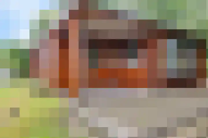 Steenbakkersweg 7 362 Erm thumbnail 7