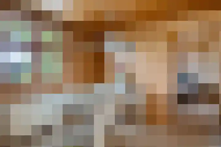Steenbakkersweg 7 362 Erm thumbnail 8