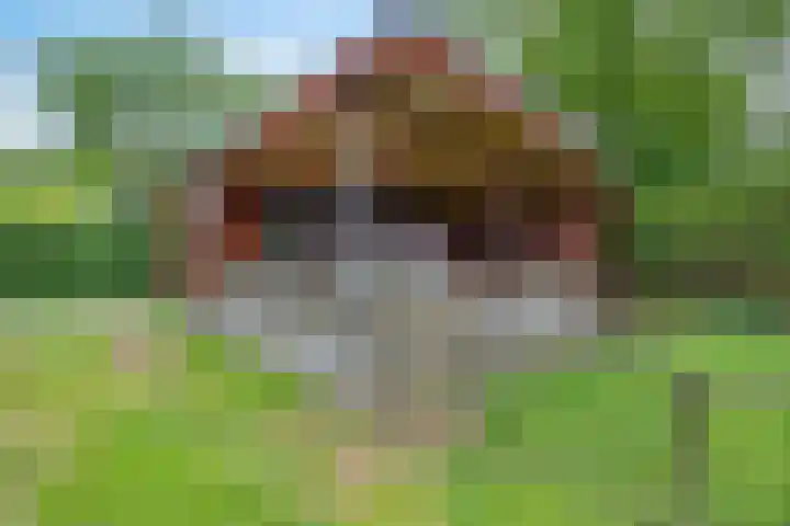 Steenbakkersweg 7 364 Erm thumbnail 10