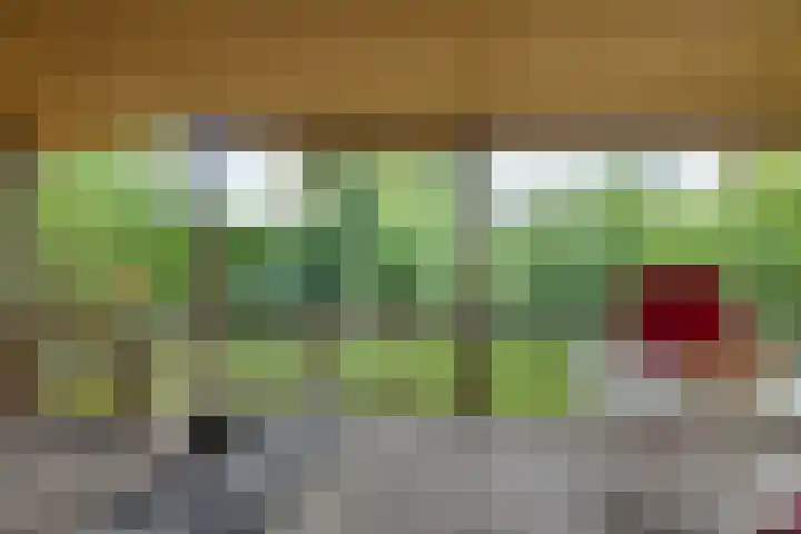 Steenbakkersweg 7 364 Erm thumbnail 17