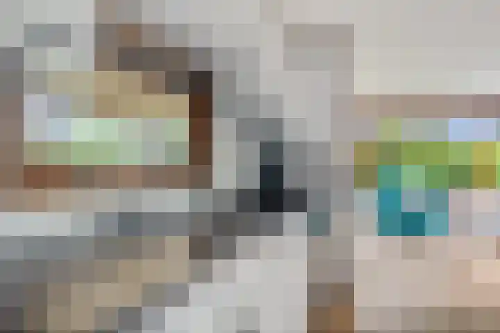 Steenbakkersweg 7 364 Erm thumbnail 18