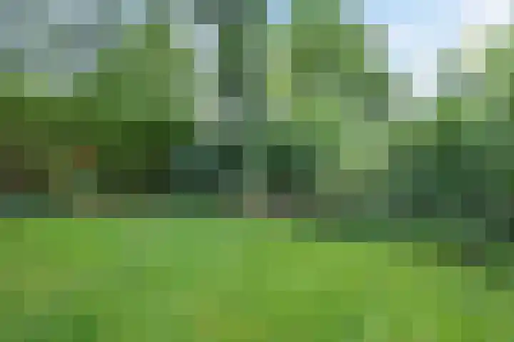 Steenbakkersweg 7 364 Erm thumbnail 29