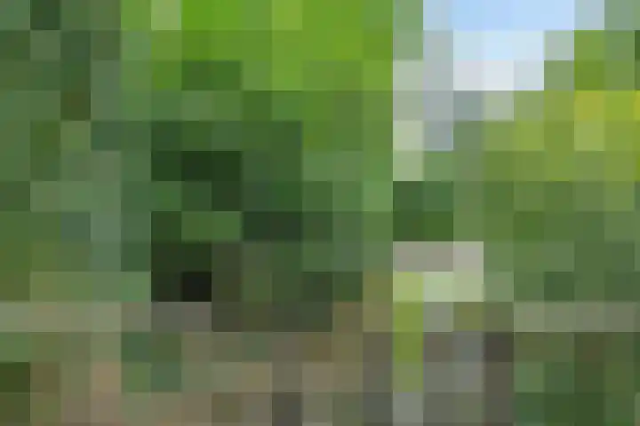 Steenbakkersweg 7 364 Erm thumbnail 30