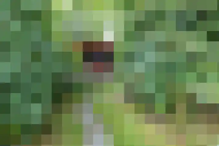 Steenbakkersweg 7 364 Erm thumbnail 31
