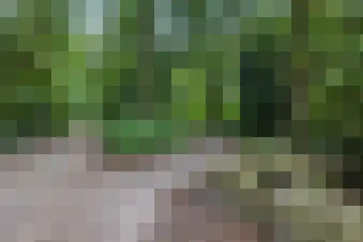 Steenbakkersweg 7 364 Erm thumbnail 32