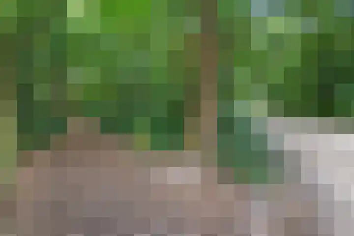 Steenbakkersweg 7 364 Erm thumbnail 33