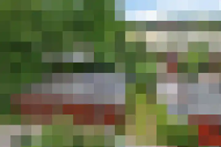 Steenbakkersweg 7 364 Erm thumbnail 37