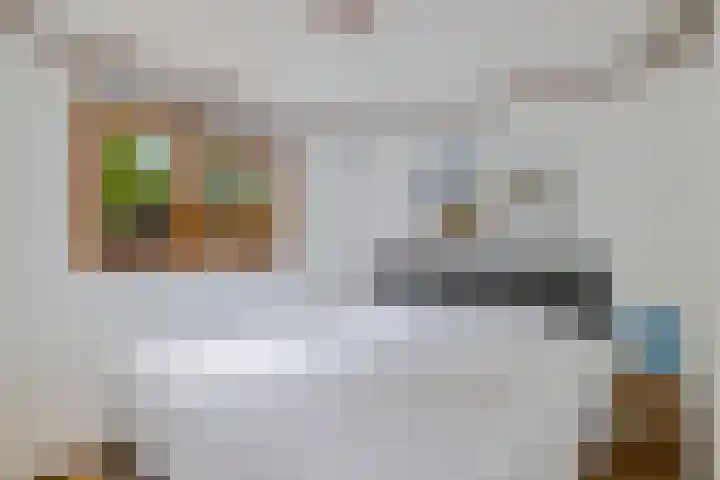 Steenbakkersweg 7 364 Erm thumbnail 4