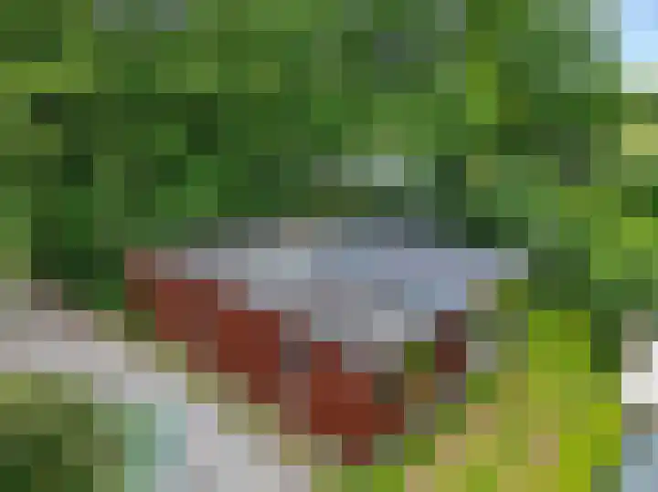Steenbakkersweg 7 364 Erm thumbnail 7