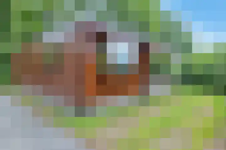 Steenbakkersweg 7 364 Erm thumbnail 8