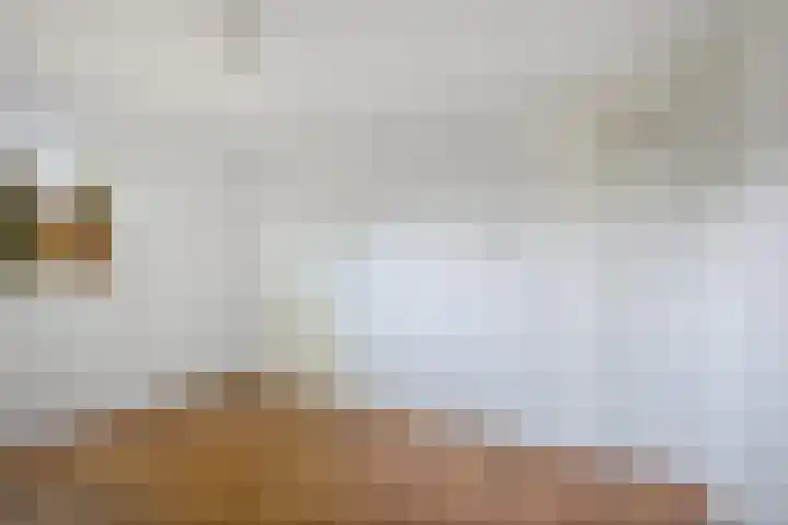 Steenbakkersweg 7 367 Erm thumbnail 13
