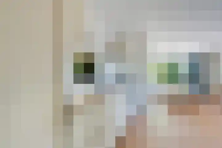 Steenbakkersweg 7 367 Erm thumbnail 17