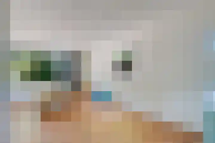 Steenbakkersweg 7 367 Erm thumbnail 23