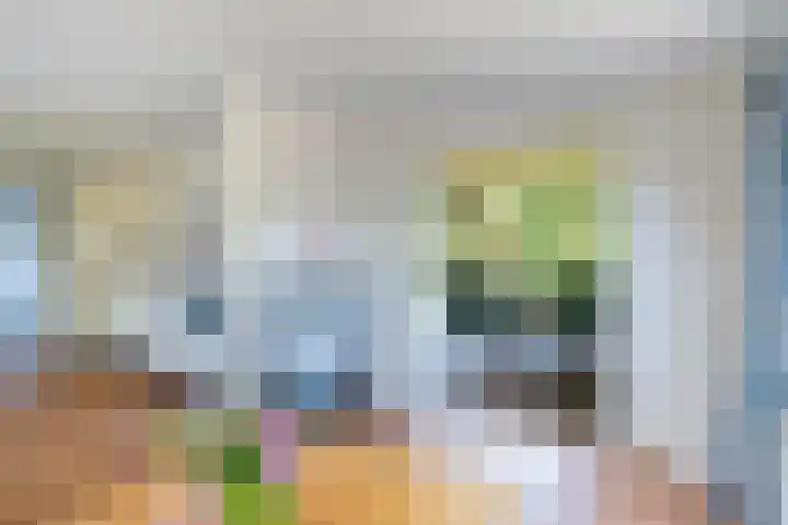 Steenbakkersweg 7 367 Erm thumbnail 25