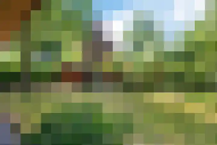 Steenbakkersweg 7 367 Erm thumbnail 28