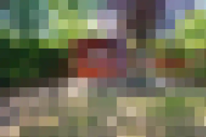 Steenbakkersweg 7 367 Erm thumbnail 30