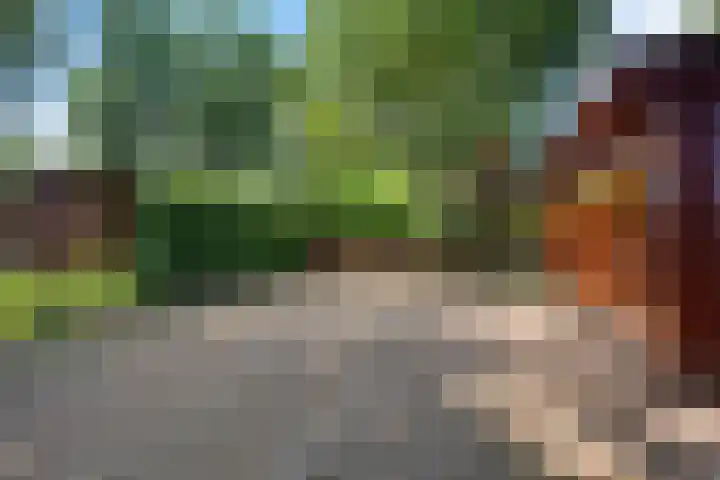 Steenbakkersweg 7 367 Erm thumbnail 32