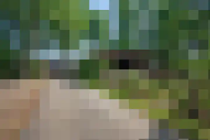 Steenbakkersweg 7 367 Erm thumbnail 33
