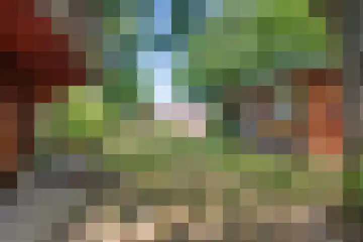 Steenbakkersweg 7 367 Erm thumbnail 34
