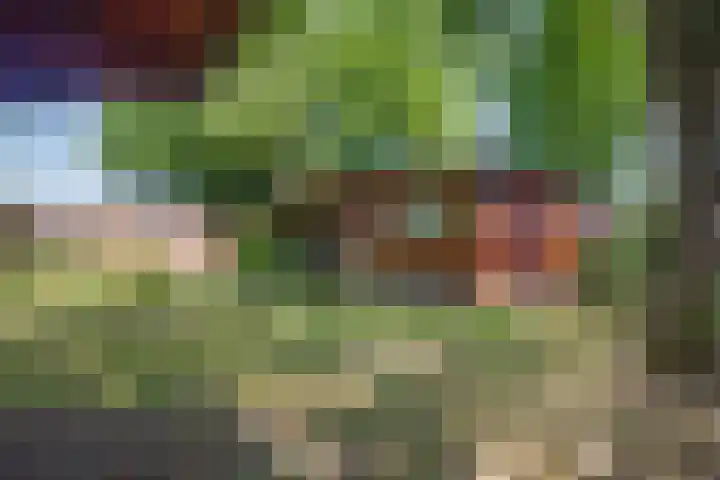 Steenbakkersweg 7 367 Erm thumbnail 35